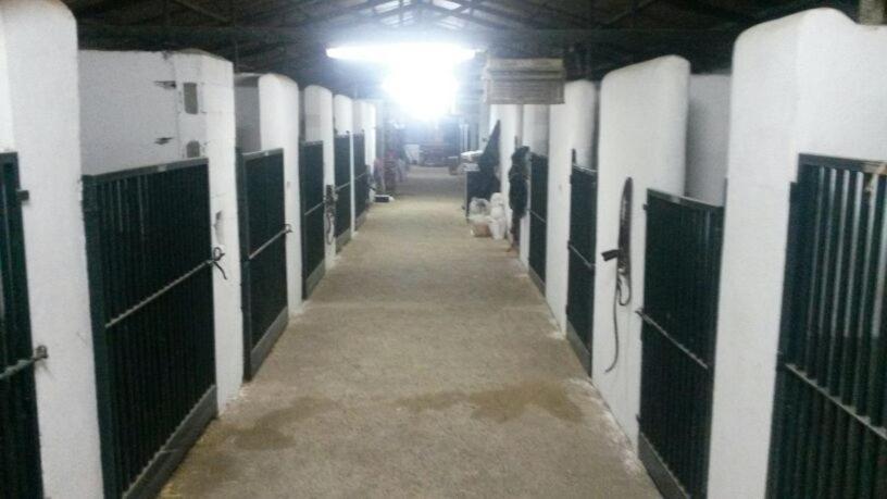 B&B Yeguada La Parrilla El Escorial Ngoại thất bức ảnh